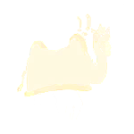 Goofy Camel